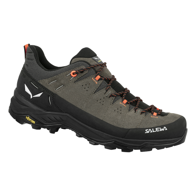 Men's Alp Trainer 2 Shoe
